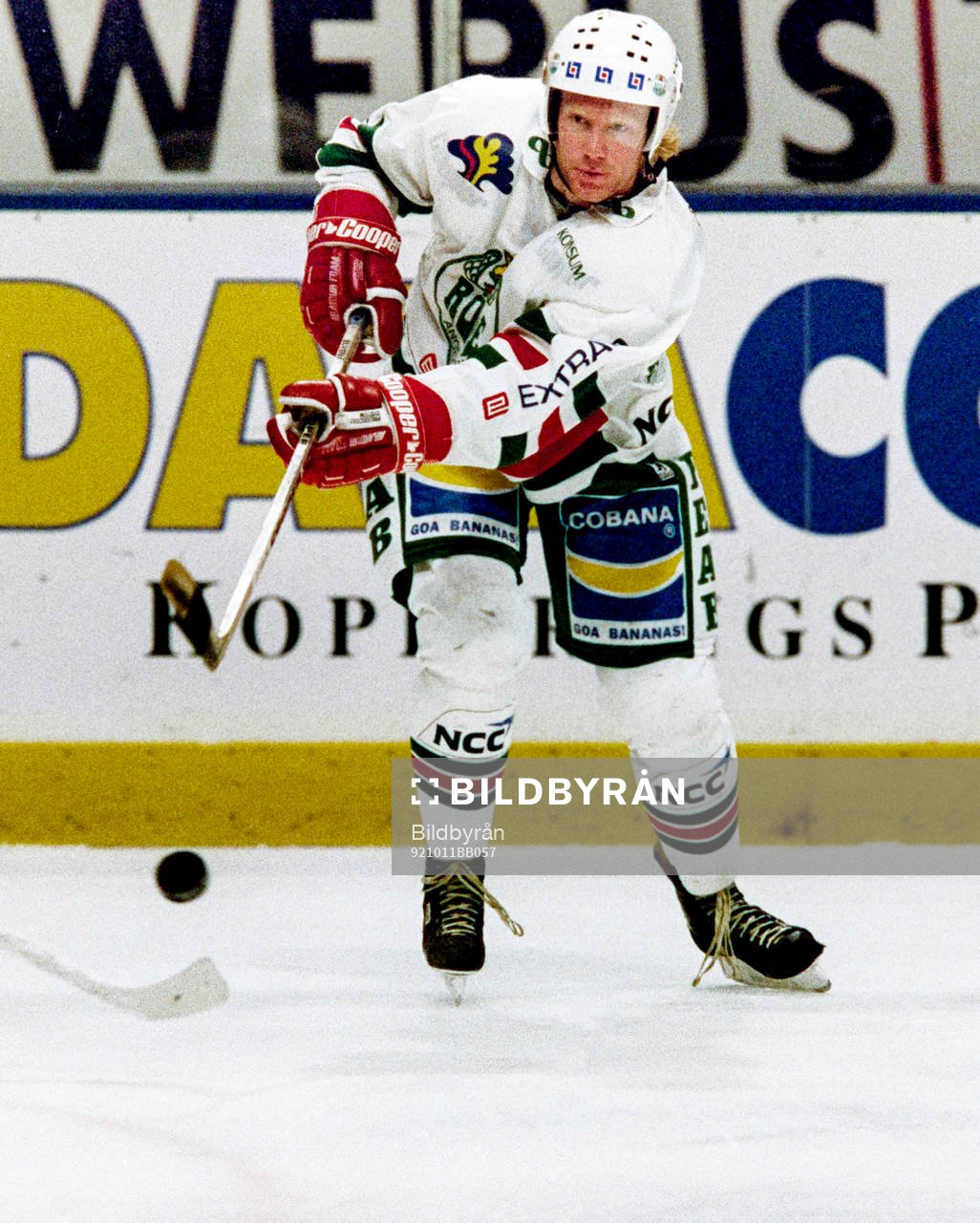 Stefan Elvenes, Rögle