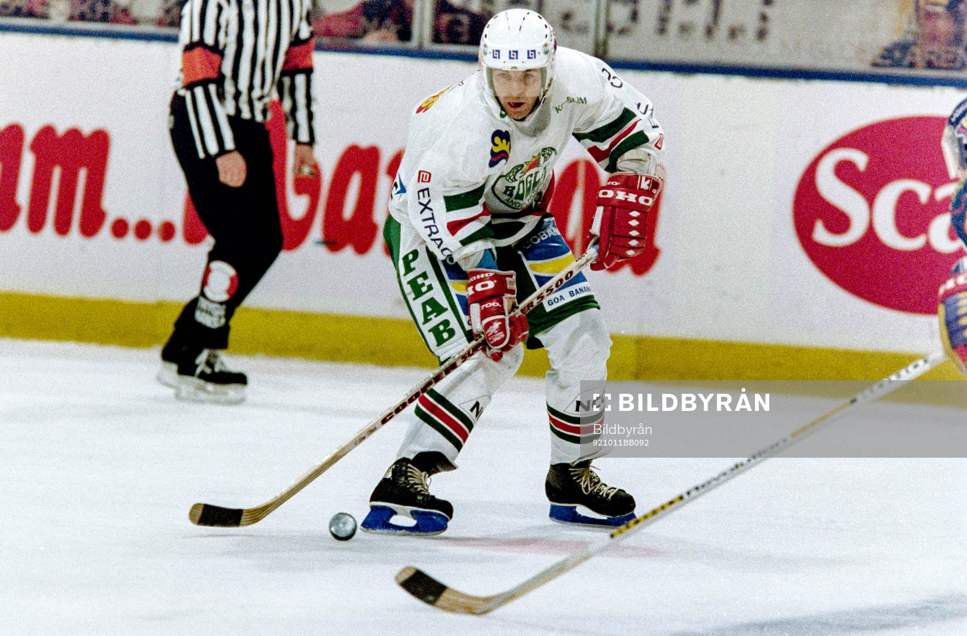 Mats Lööv, Rögle