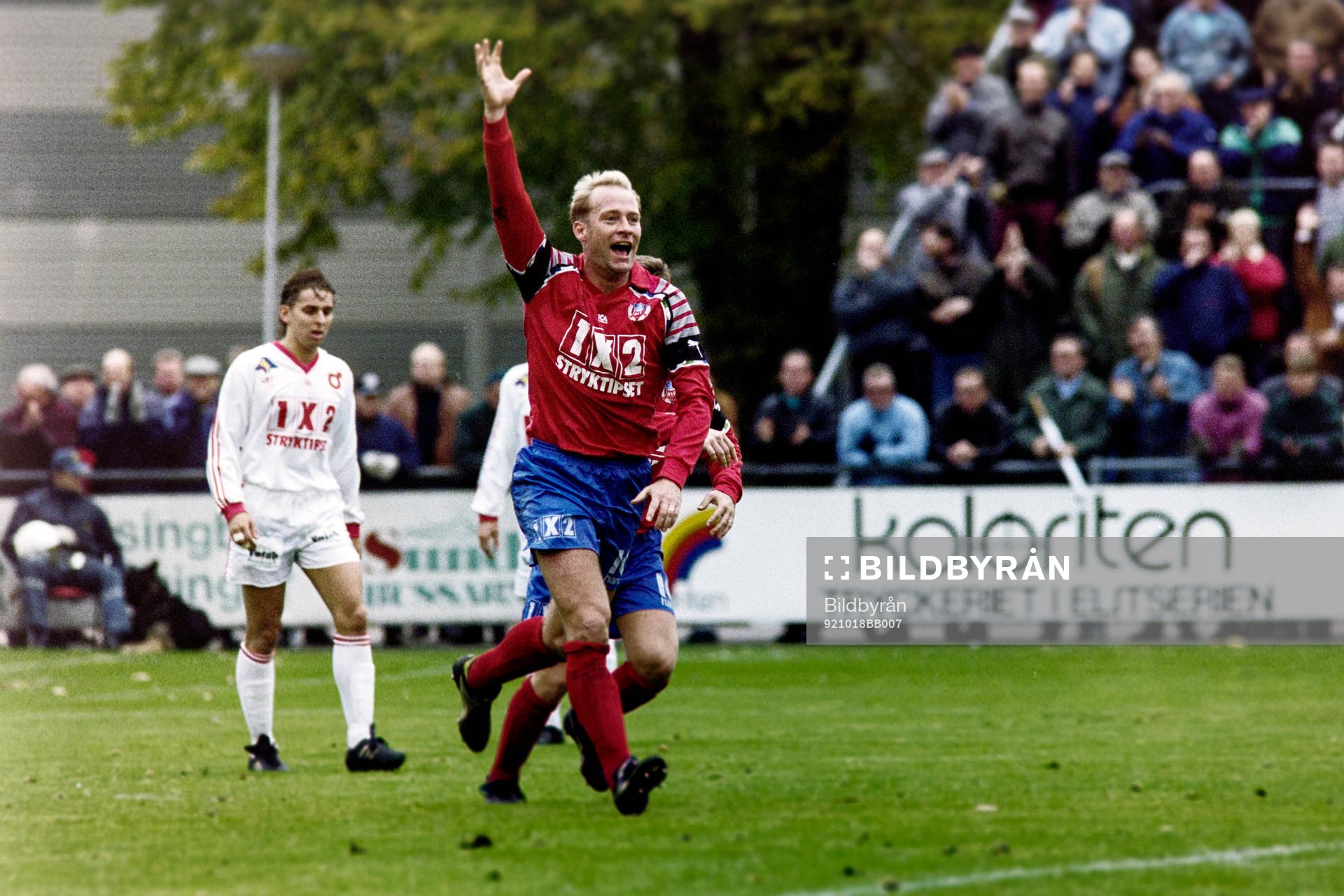 Fotboll, Kval till Allsvenskan, Helsingborg - Degerfors, 3-3: Mats Magnusson, Helsingborg jublar efter mål.
