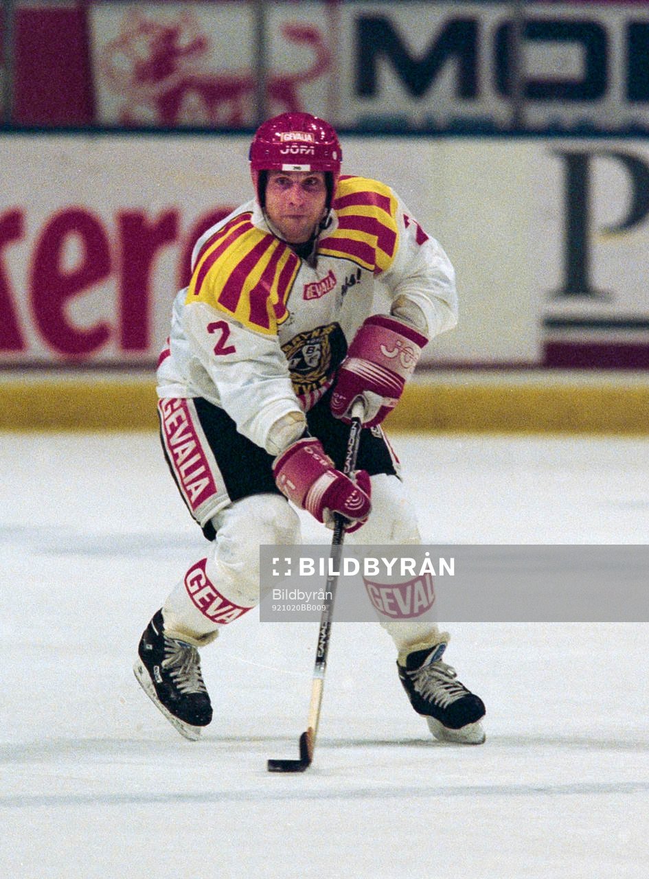 Bedrich Scerban, Brynäs