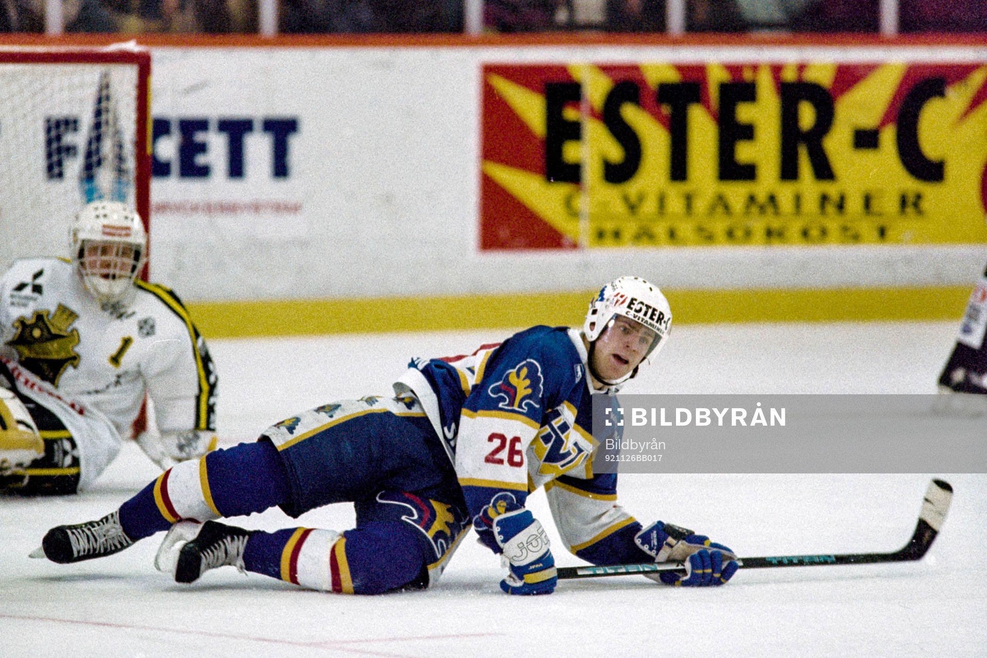 Stefan Falk, HV71
