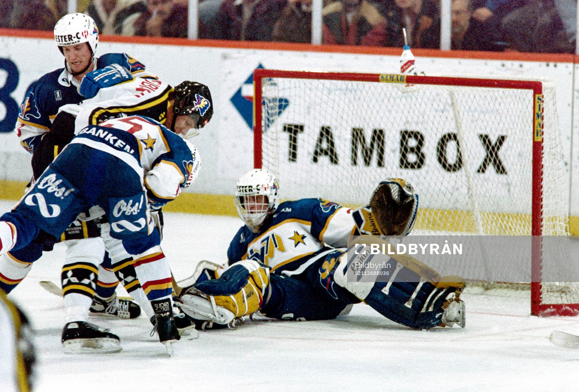 Peter Åslin, målvakt i HV71