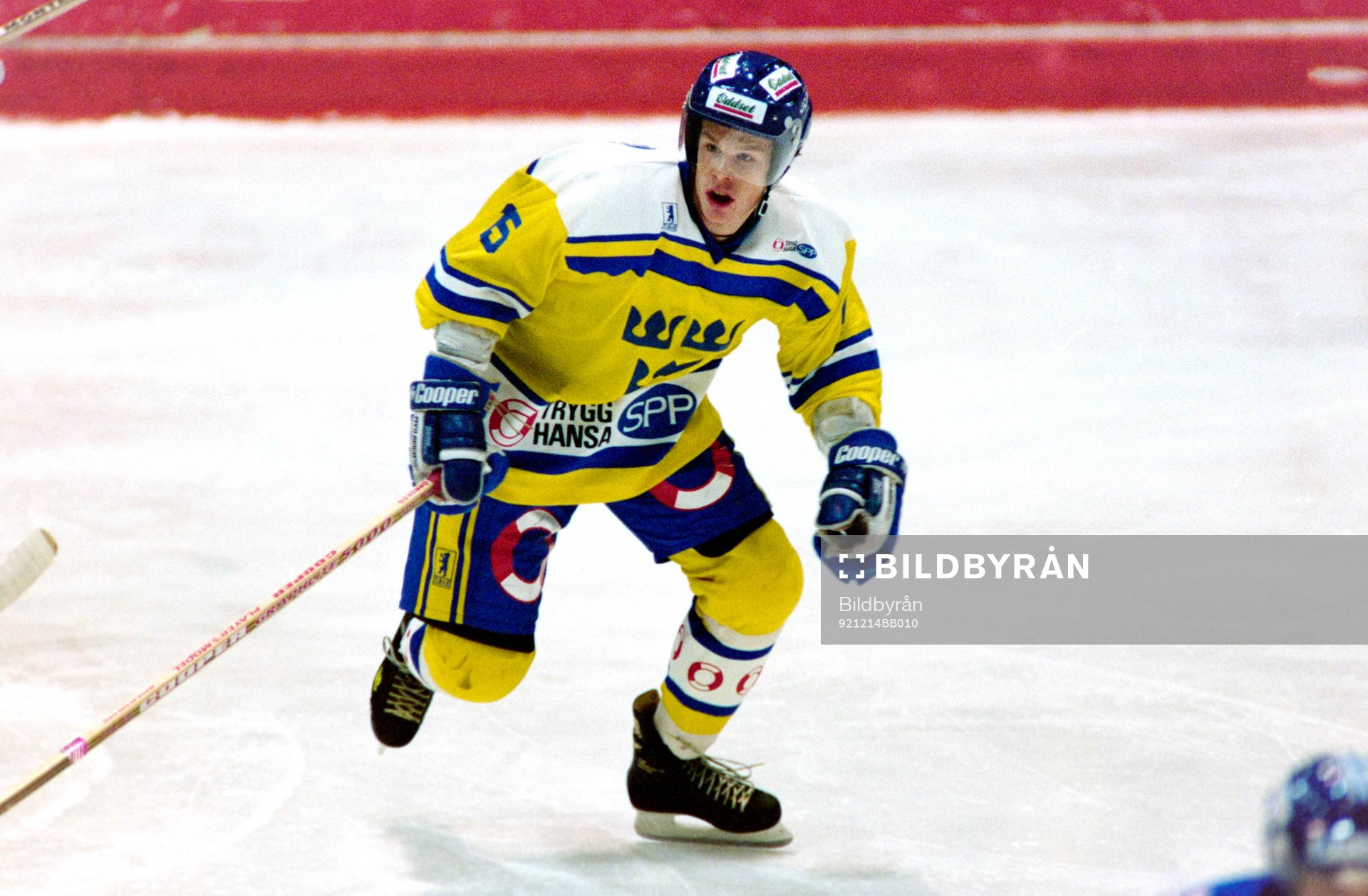 Stefan Örnskog, Sverige