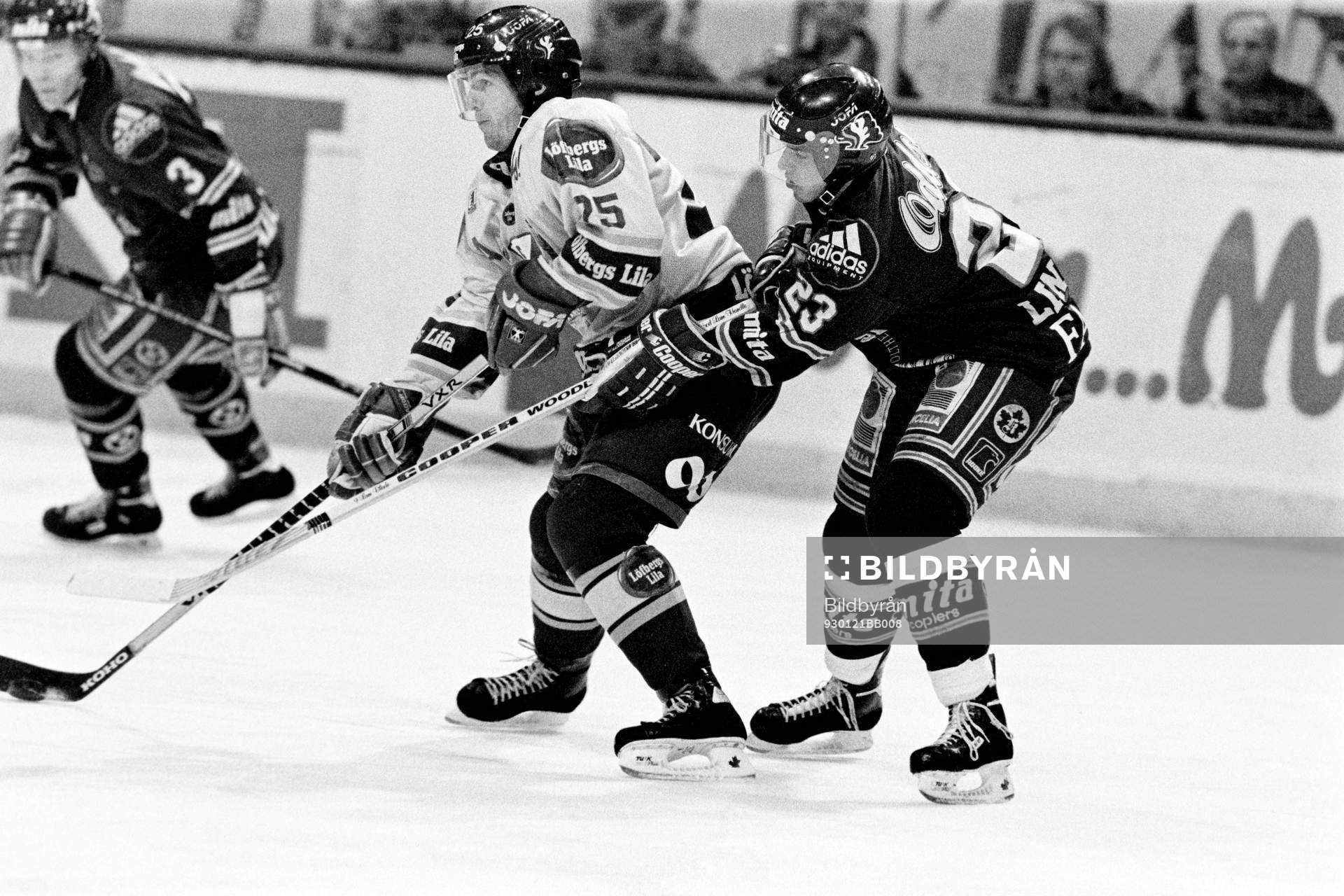 Thomas Rhodin, Färjestad med djurgårdens Fredrik