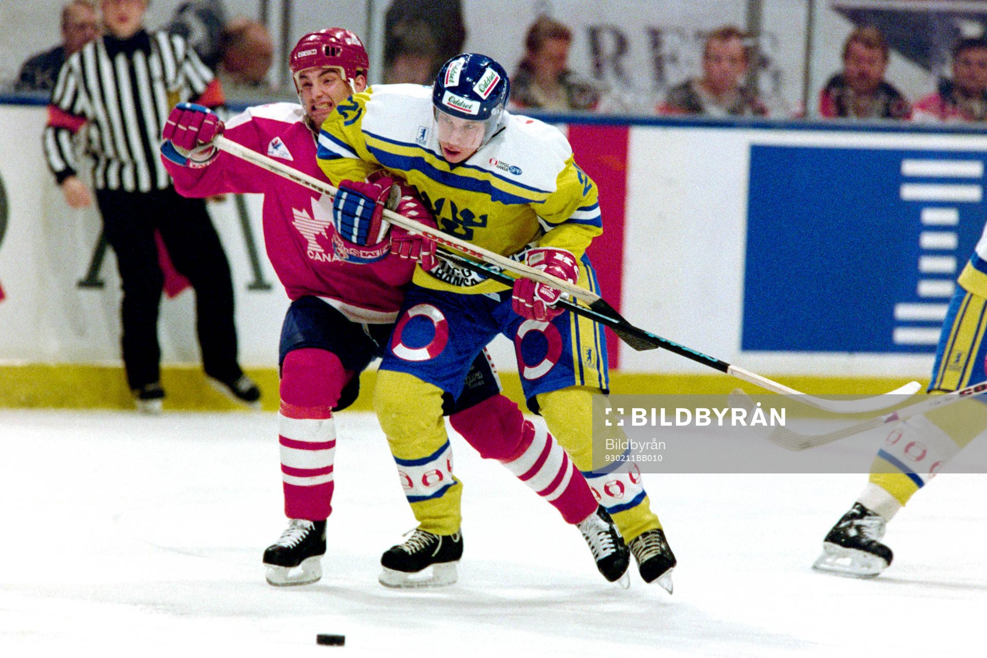 Peter Forsberg, Sverige