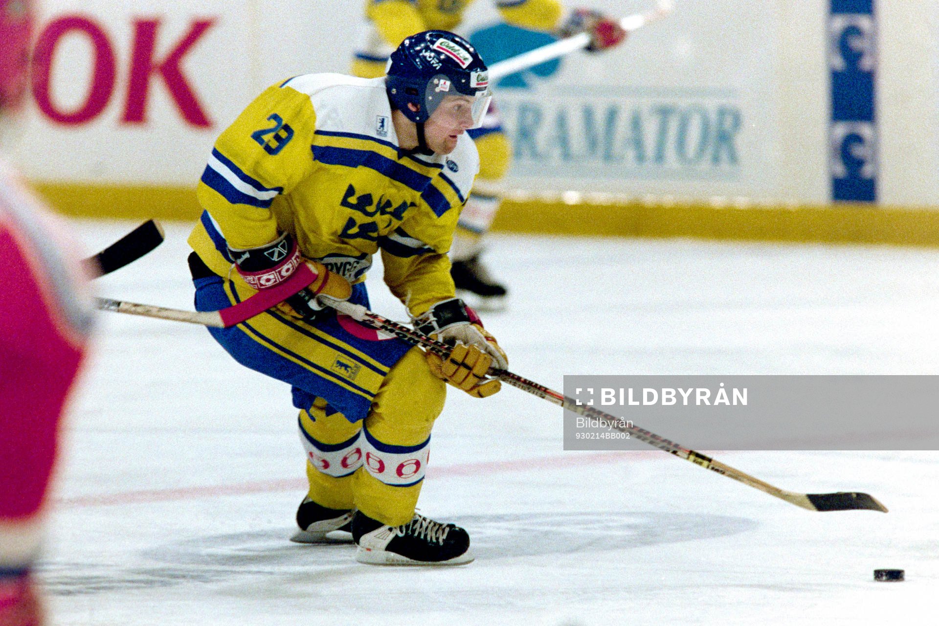 Mikael Renberg, Sverige