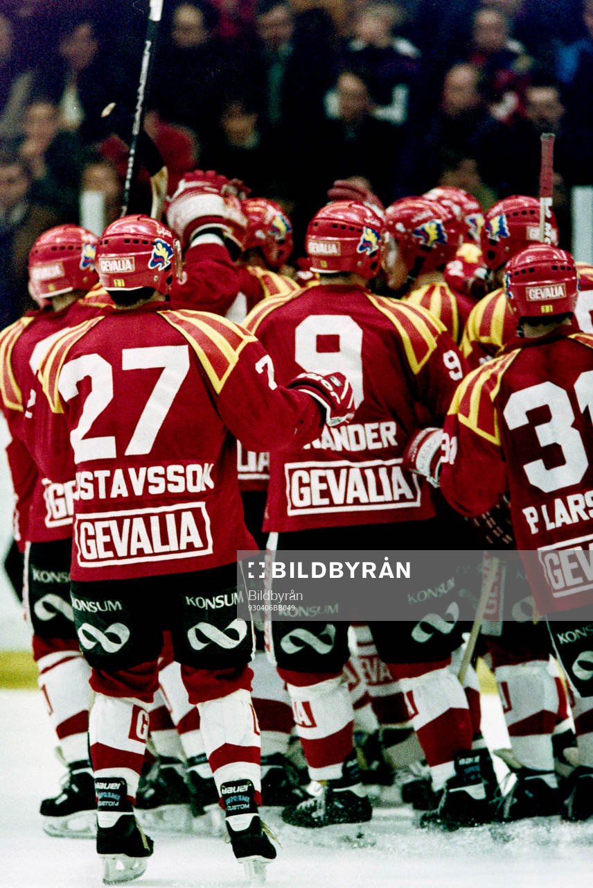 Brynäs jublar tillsammans