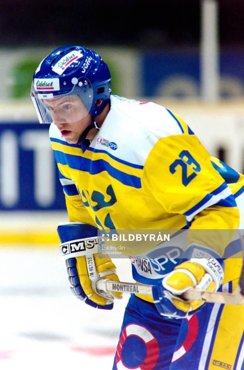 Mikael Renberg, Sverige