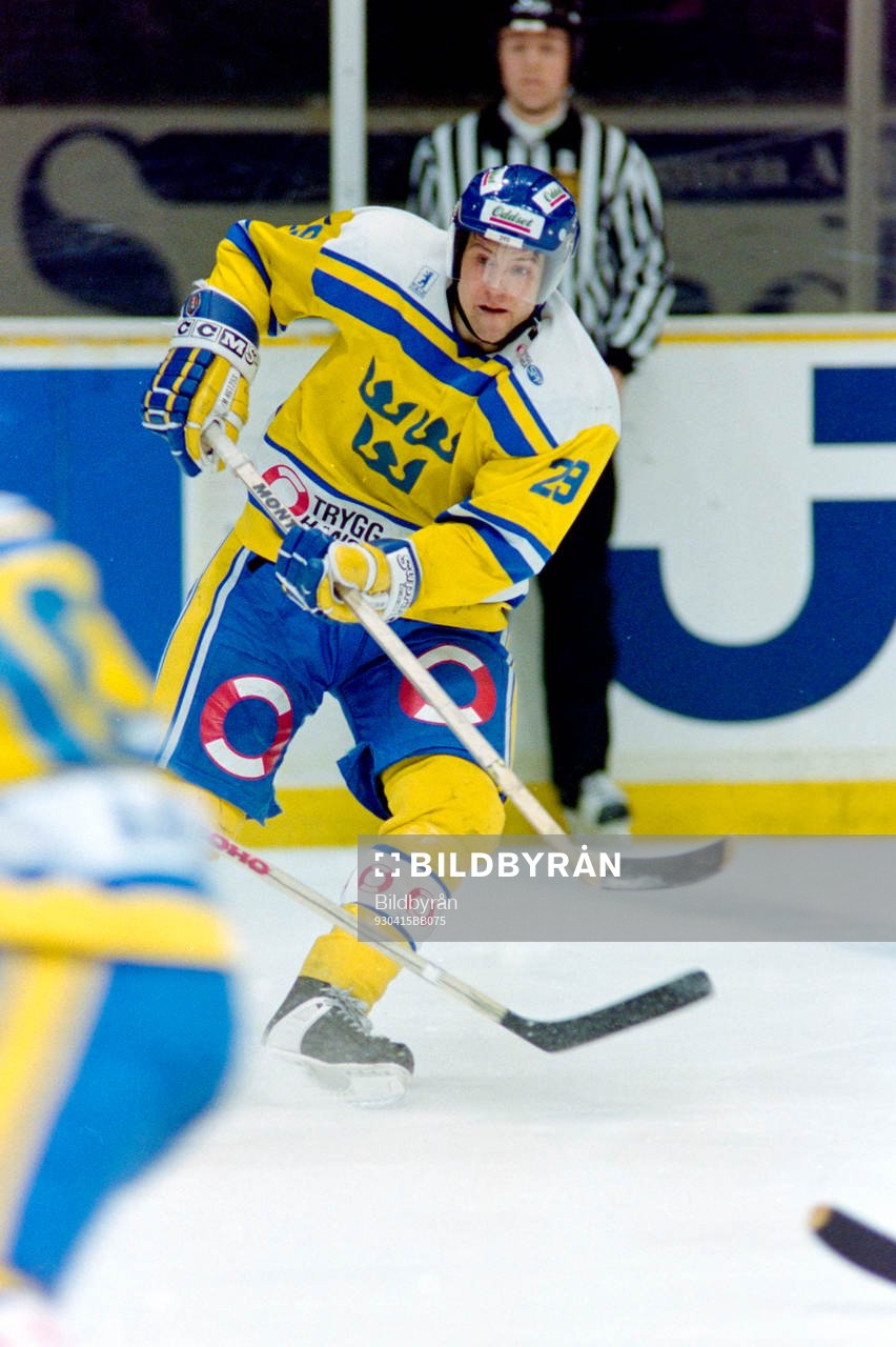 Mikael Renberg, Sverige