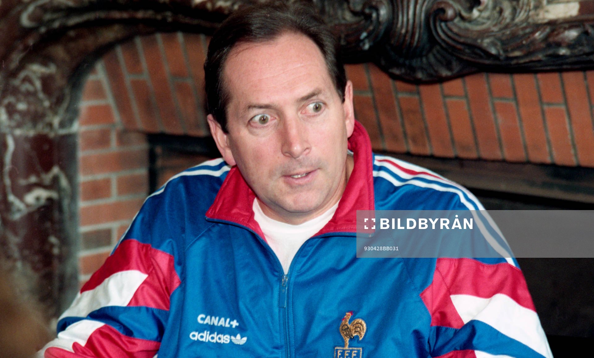 Gerhard Houllier, förbundskapten, Frankrike