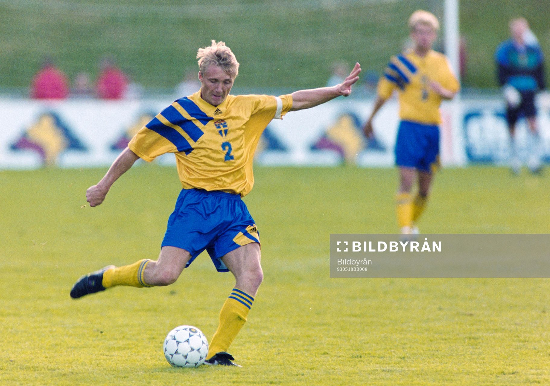 Magnus Johansson, Sverige