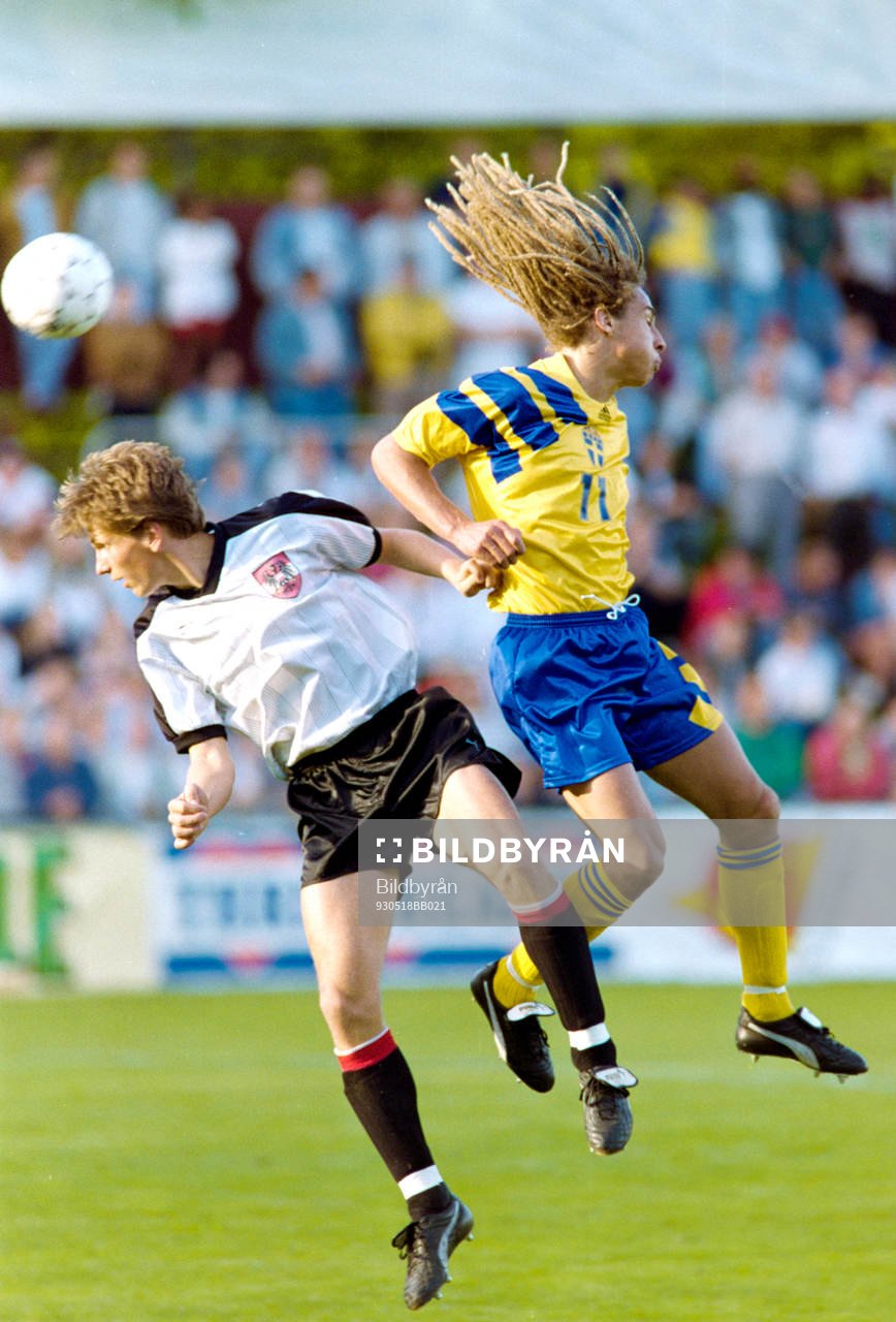 Henrik Larsson, Sverige
