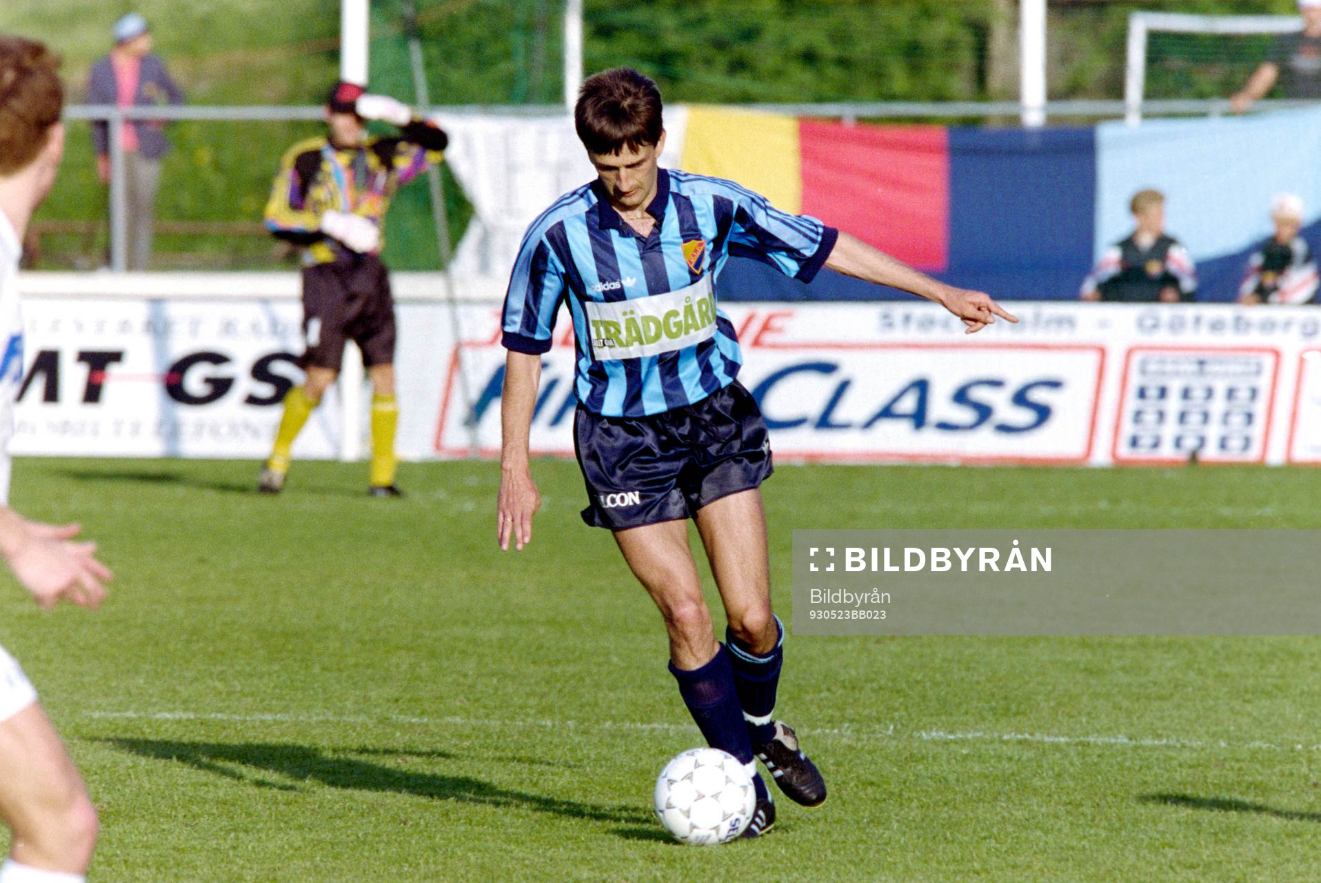 Nebojsa Novakovic, Djurgården