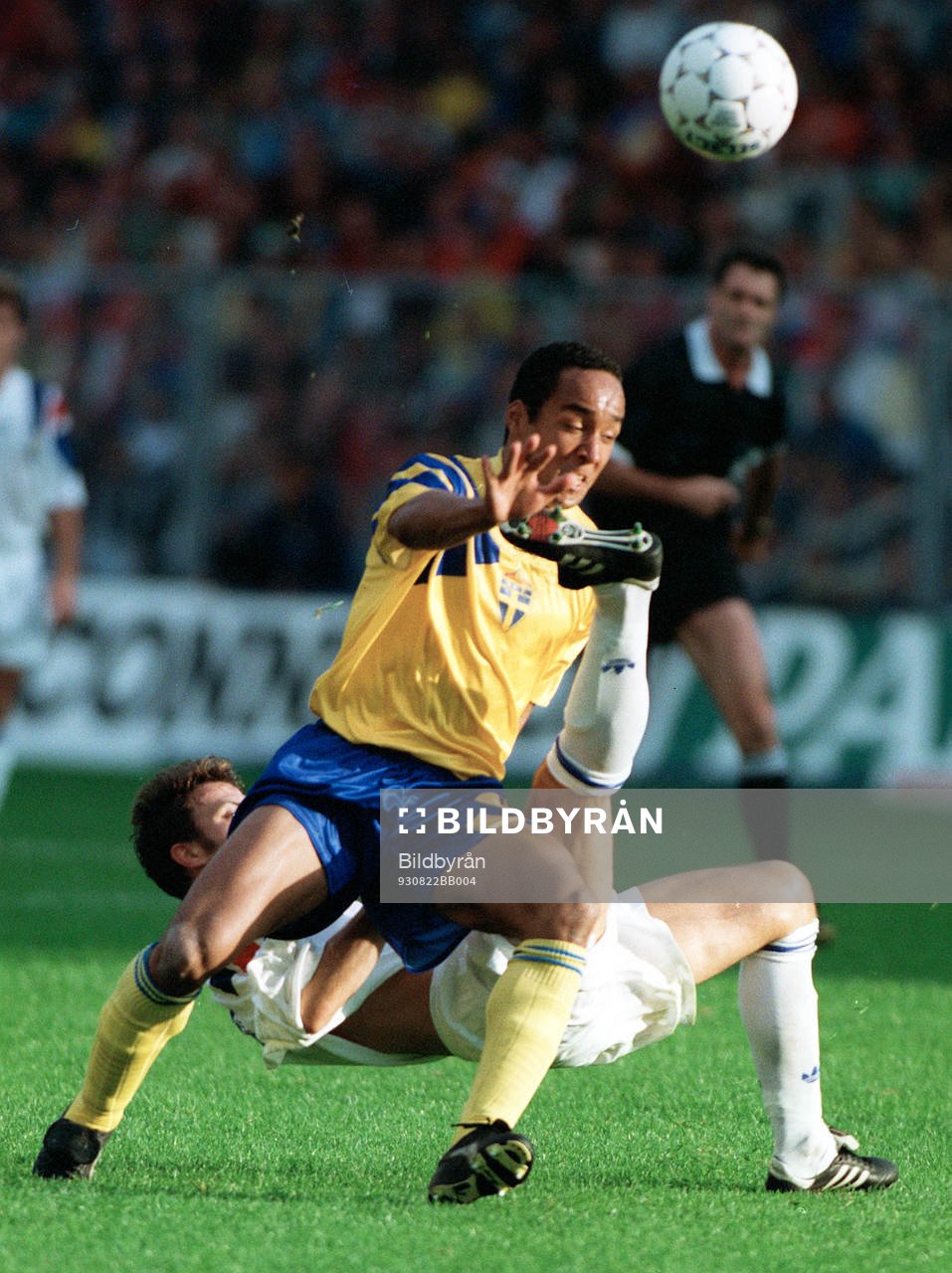 Martin Dahlin, Sverige