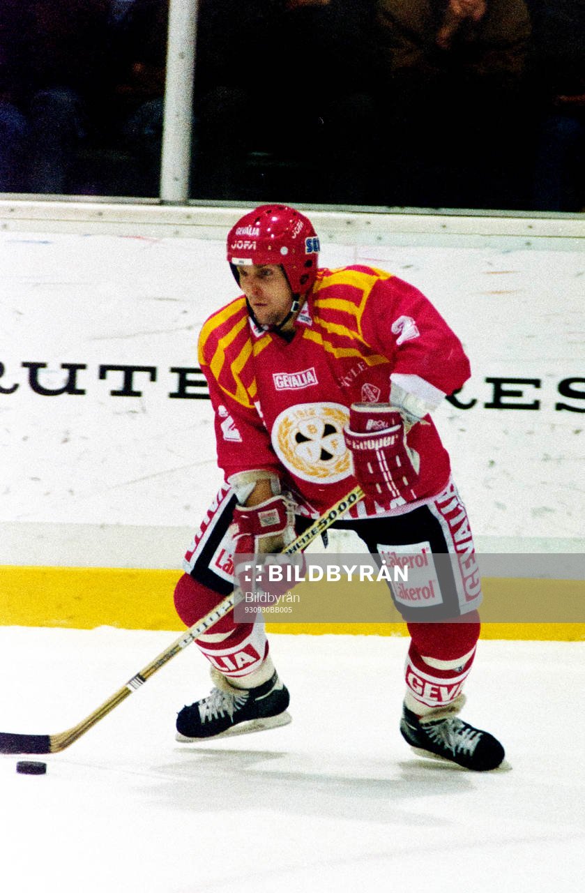 Bedrich Scerban, Brynäs