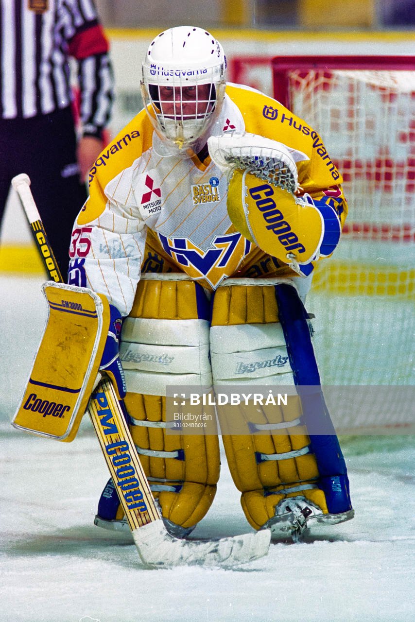 Peter Åslin, målvakt i HV71