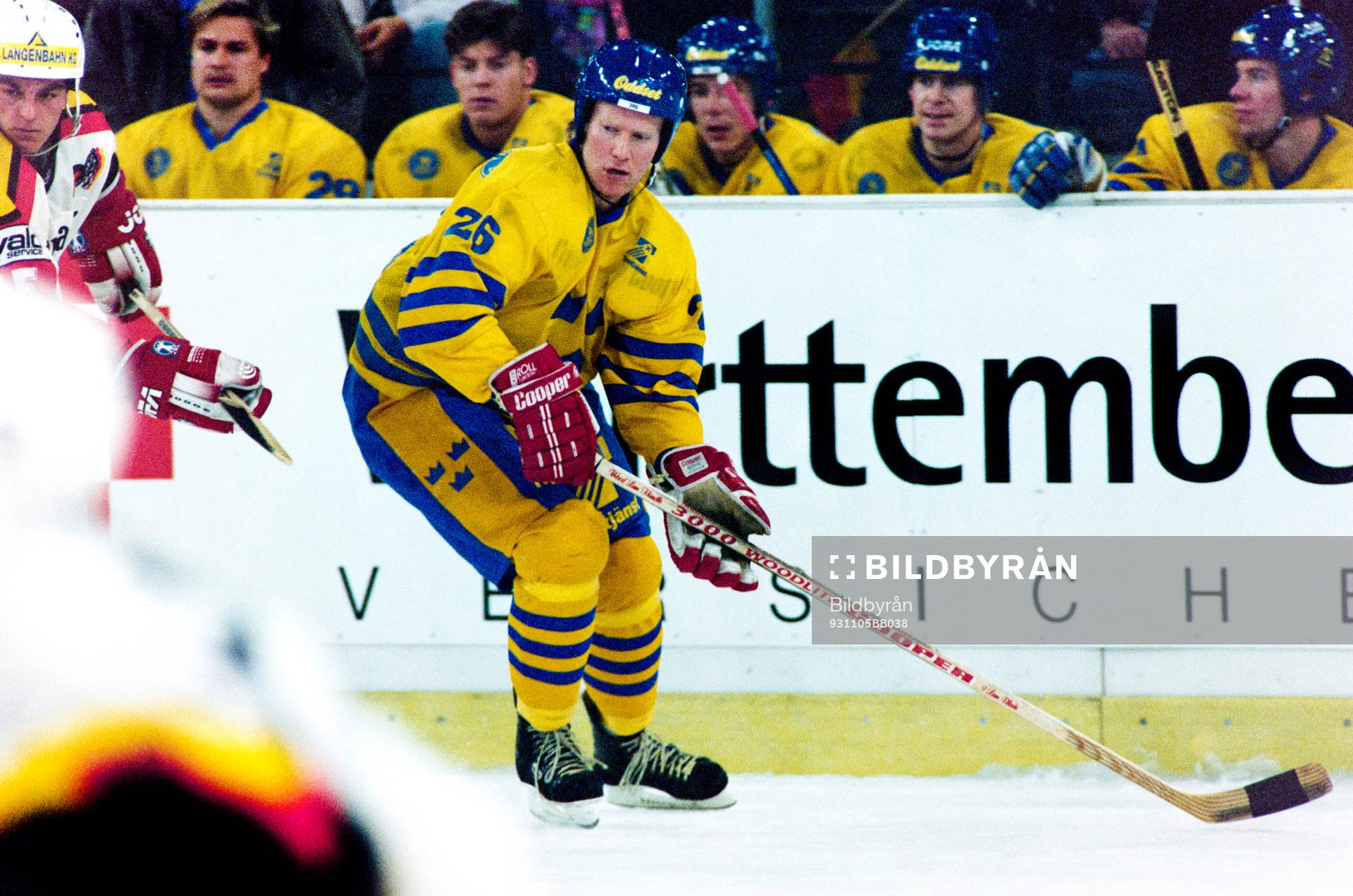 Stefan Elvenes, Sverige
