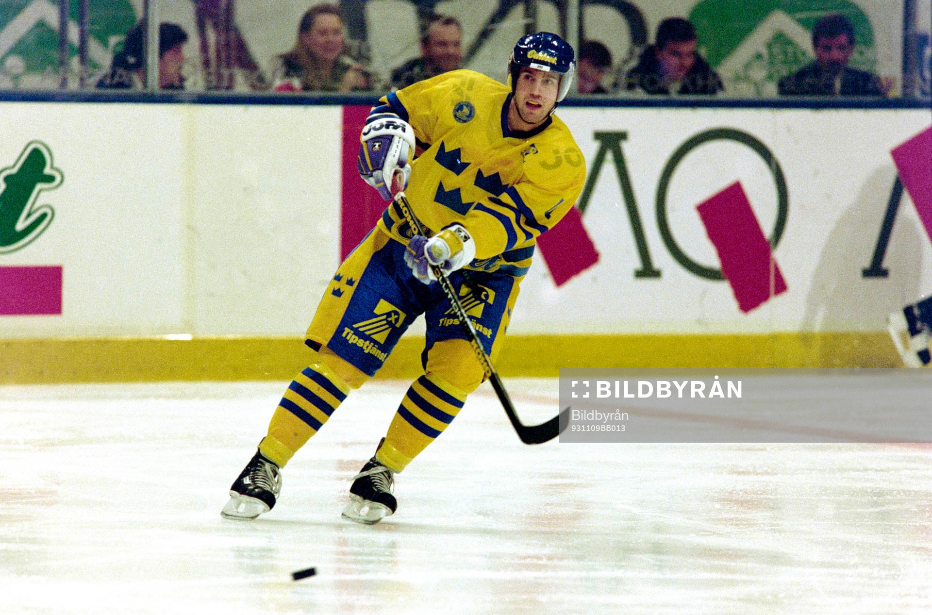 Roger Hansson, Sverige