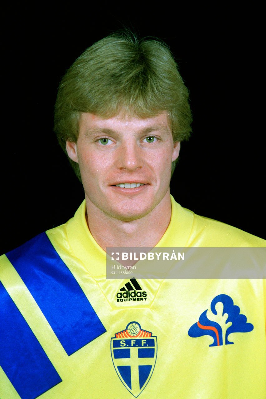 Stefan Schwarz, Sverige