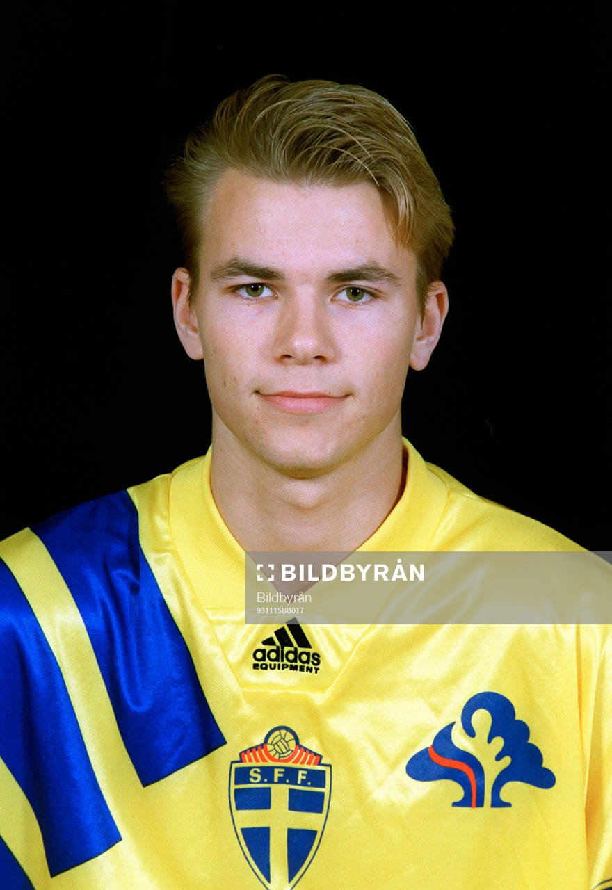 Niclas Alexandersson, Sverige