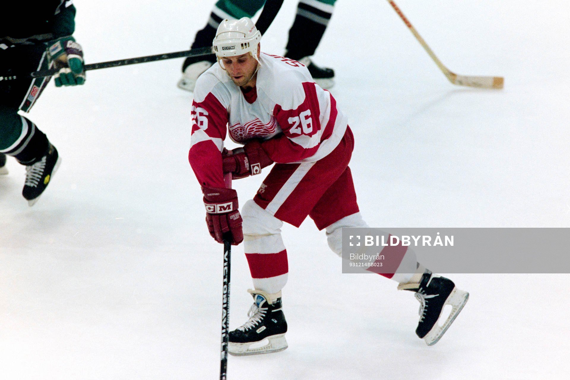 Ray Sheppard, Red Wings