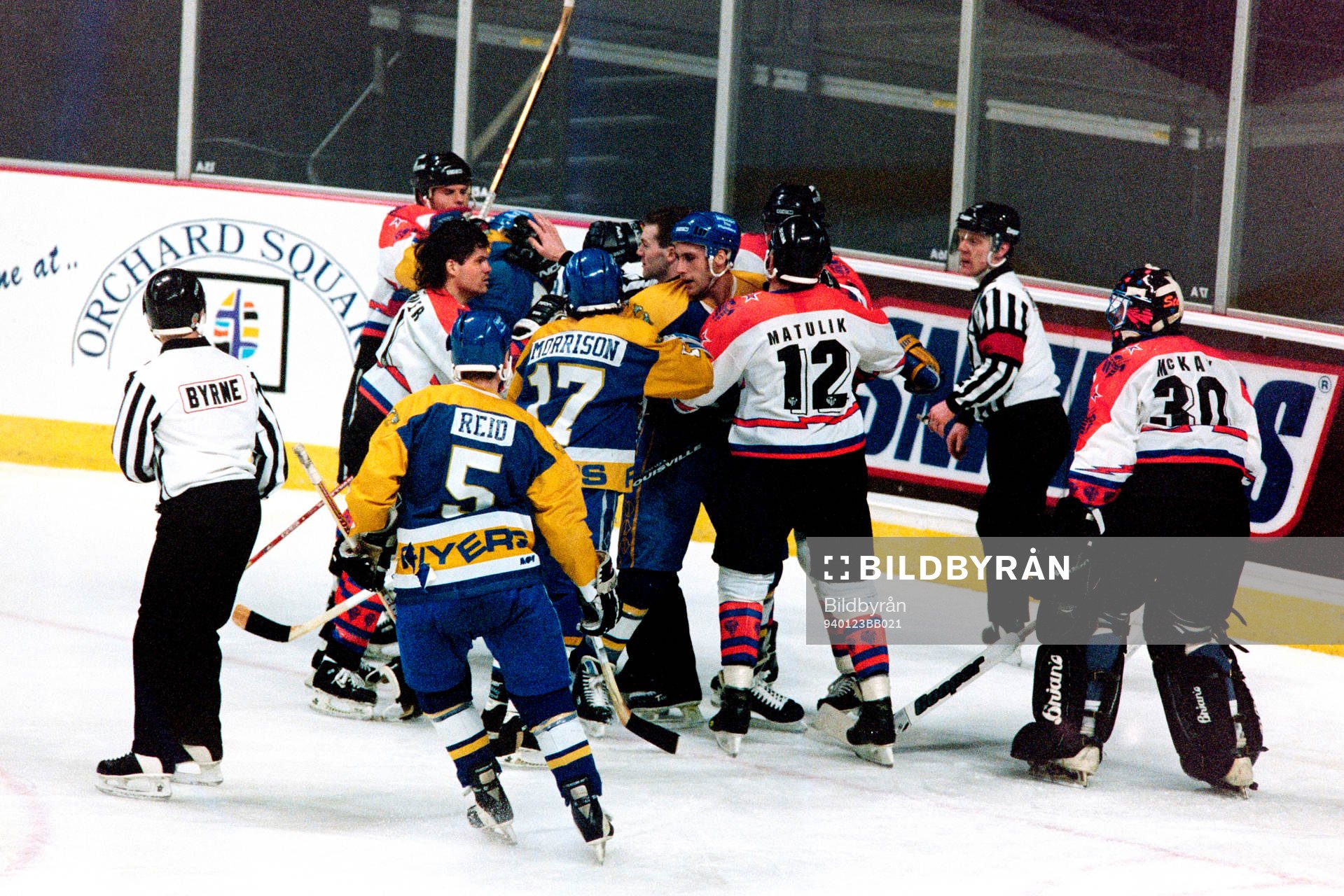 Ishockey, Premier Division, Sheffield Steelers - Fife