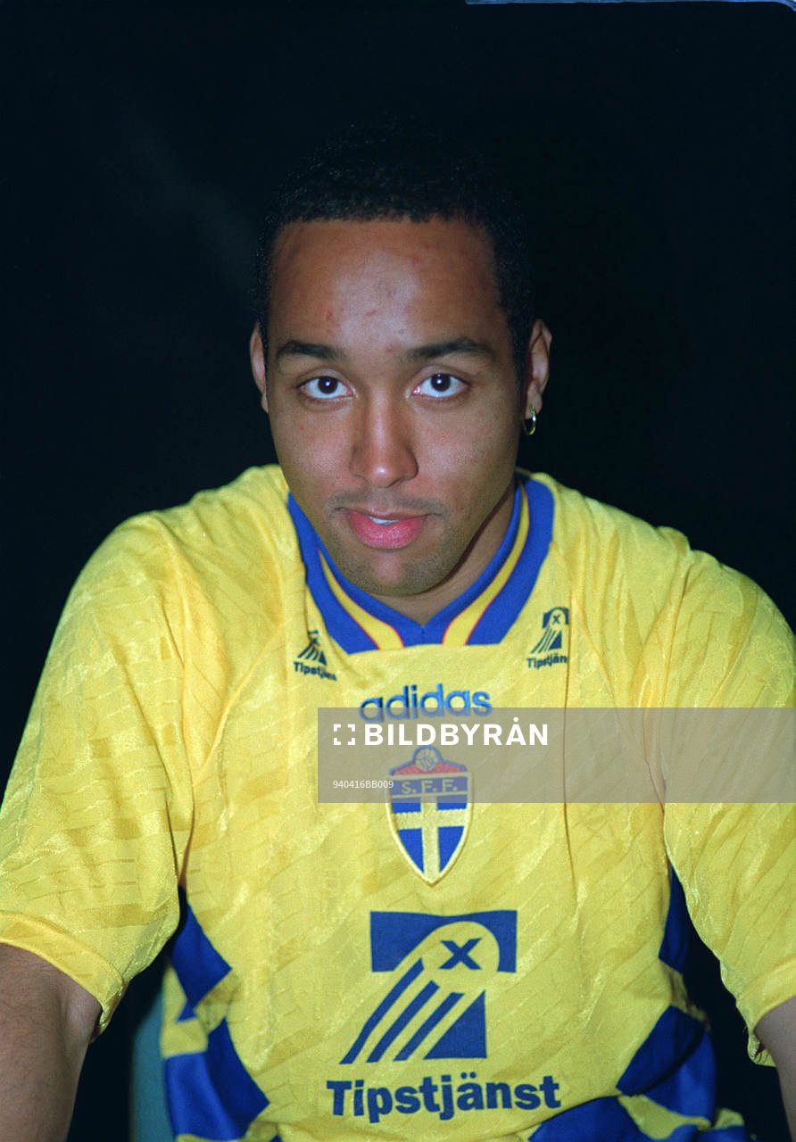 Martin Dahlin, Sverige