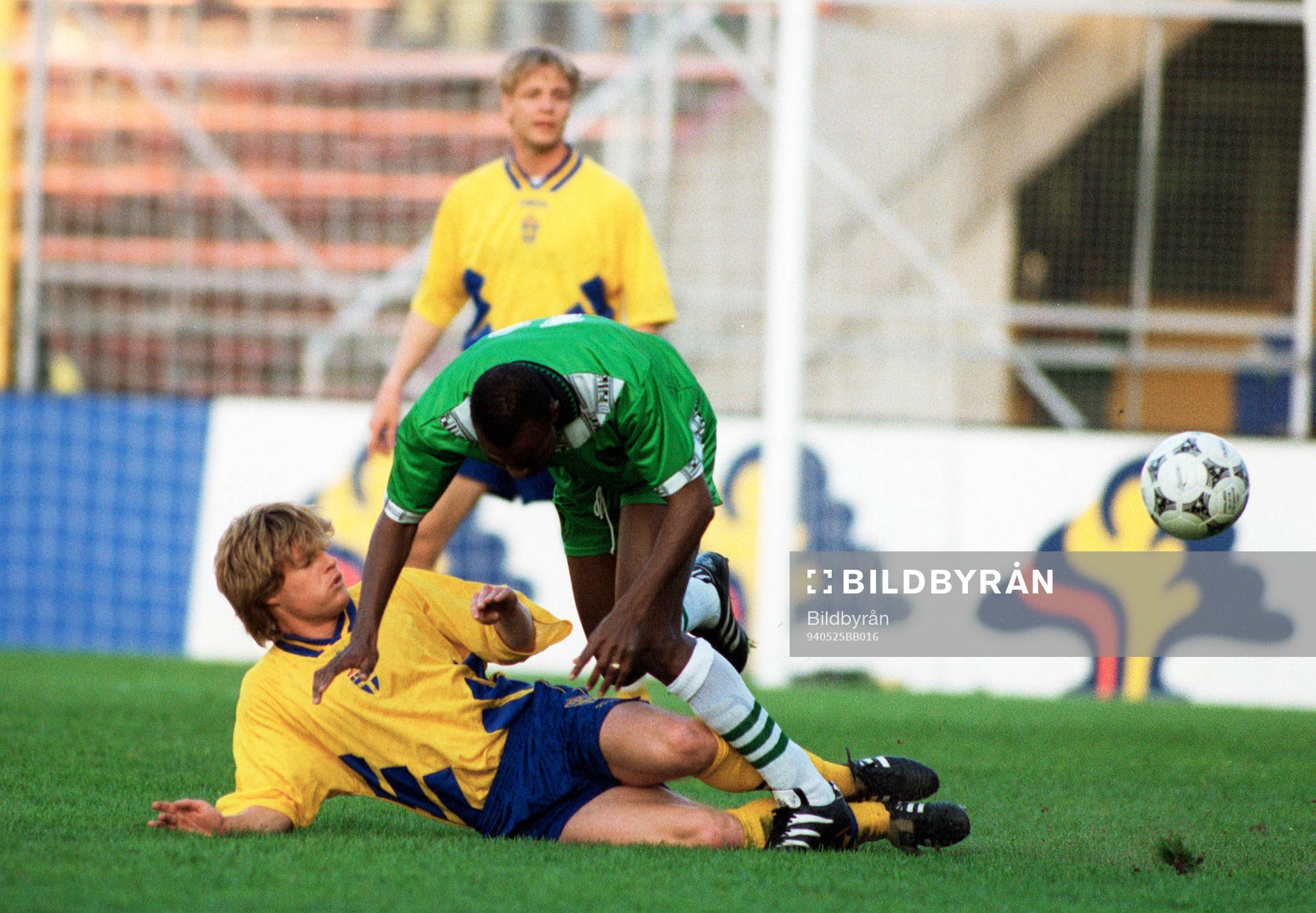 Stefan Schwarz, Sverige