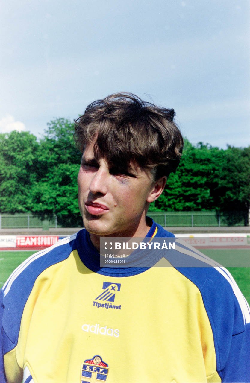 Roger Ljung, Sverige