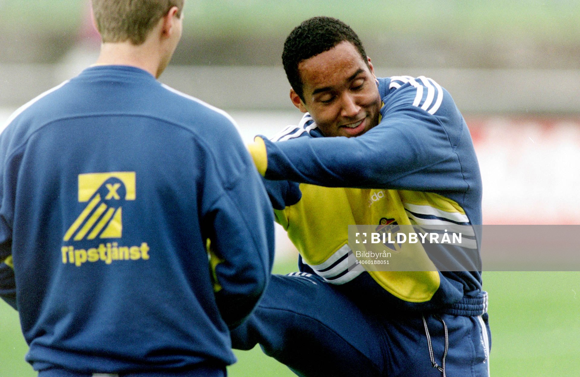 Martin Dahlin, Sverige
