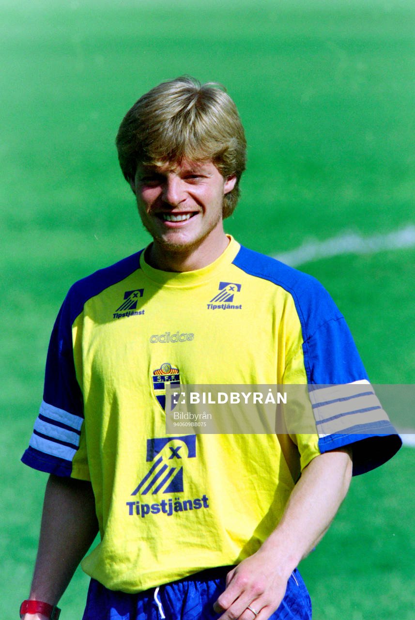 Stefan Schwarz, Sverige