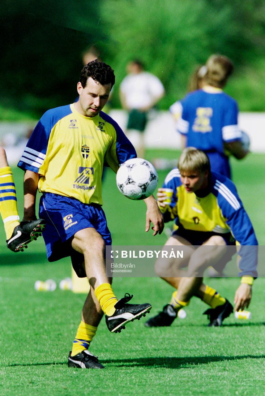 Stefan Rehn, Sverige