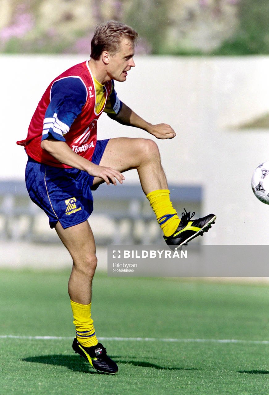 Jonas Thern, Sverige