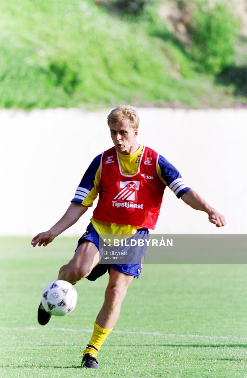 Jonas Thern, Sverige
