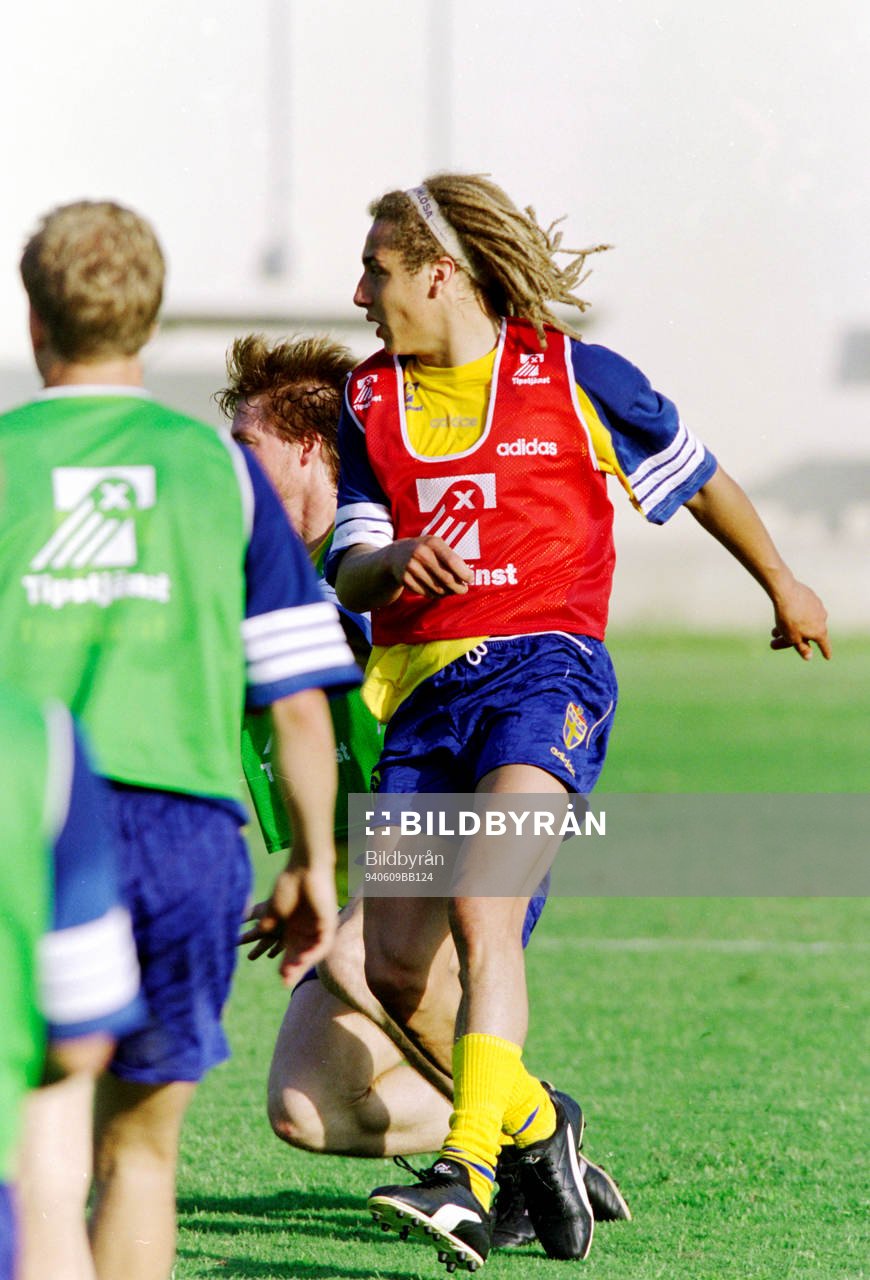 Henrik Larsson, Sverige