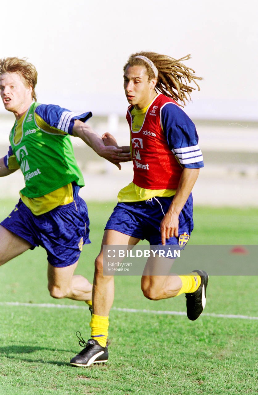 Henrik Larsson, Sverige