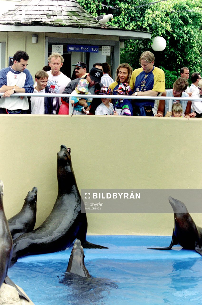 Stefan Rehn, Henrik Larsson och Mikael Nilsson på SeaWorld