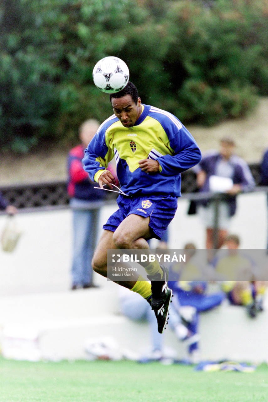 Martin Dahlin, Sverige