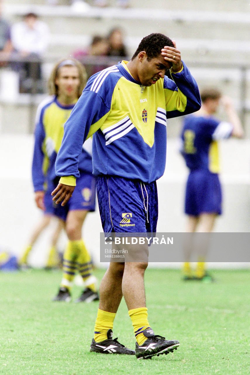 Martin Dahlin, Sverige