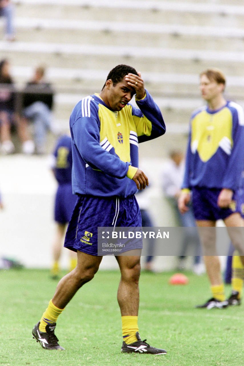 Martin Dahlin, Sverige