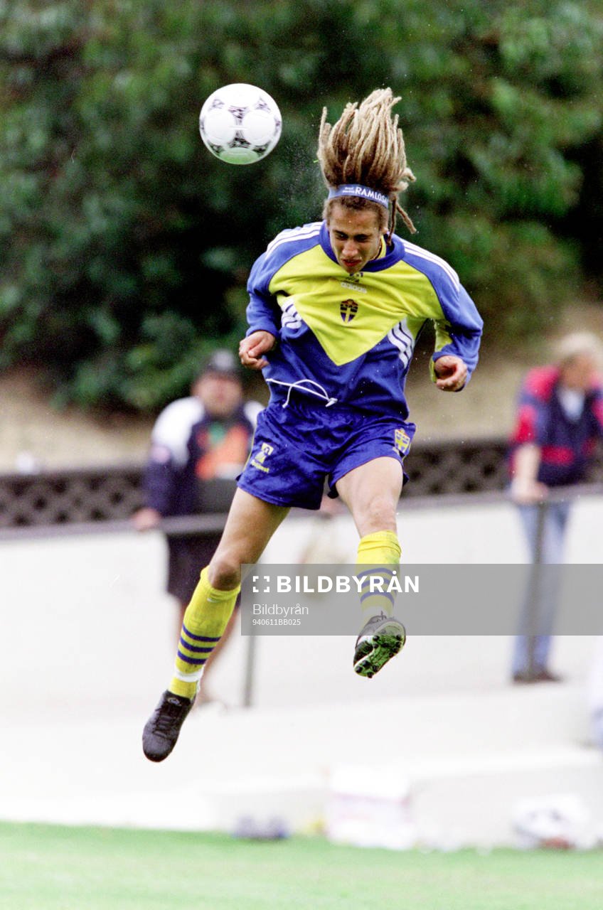 Henrik Larsson, Sverige