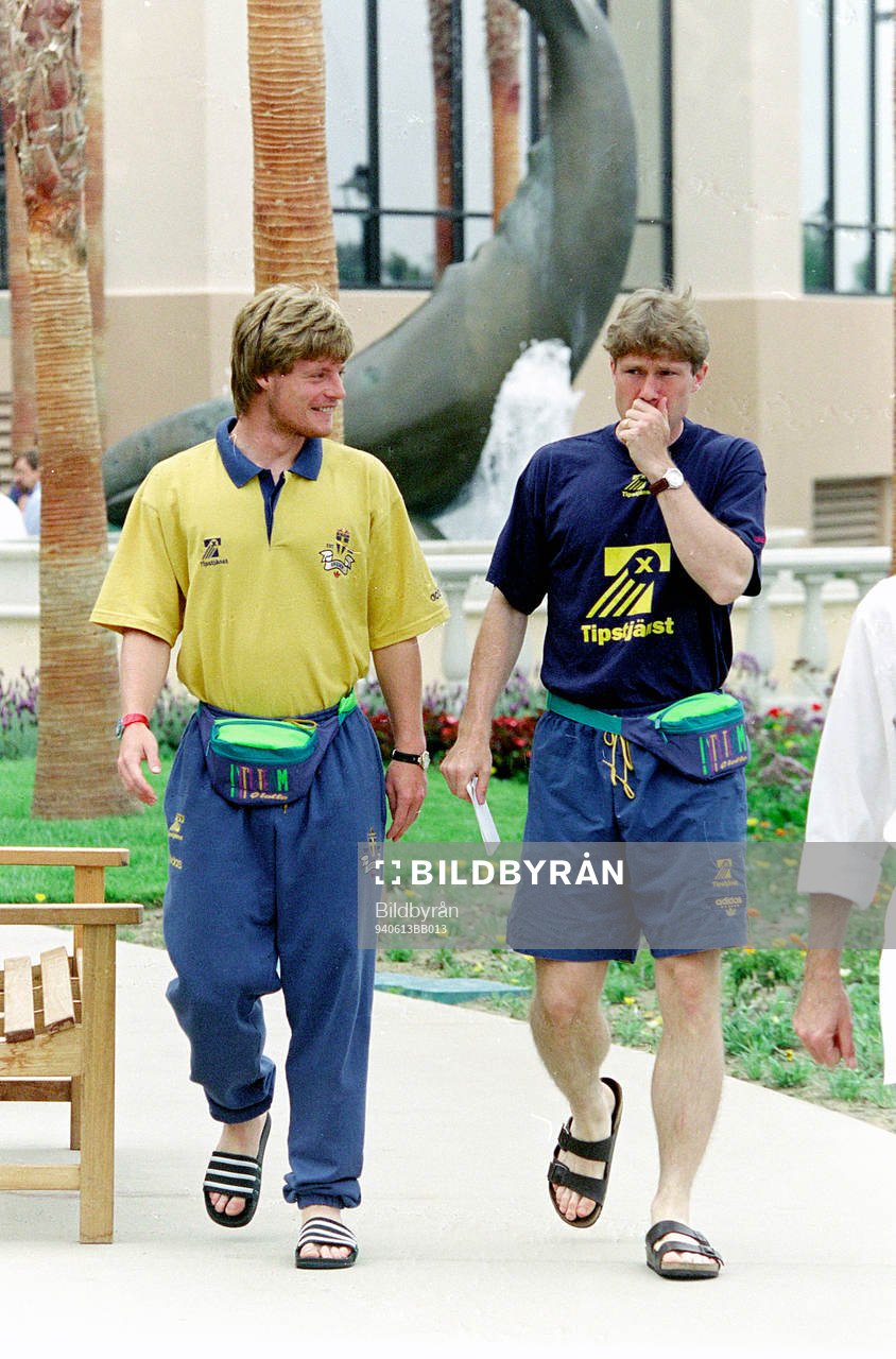 Stefan Schwarz och Jan Eriksson, Sverige