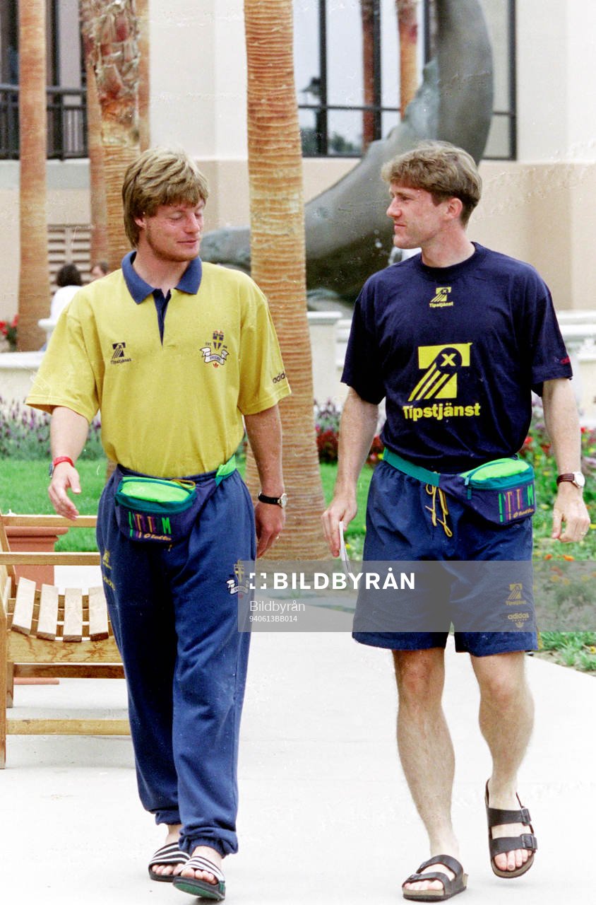 Stefan Schwarz och Jan Eriksson, Sverige