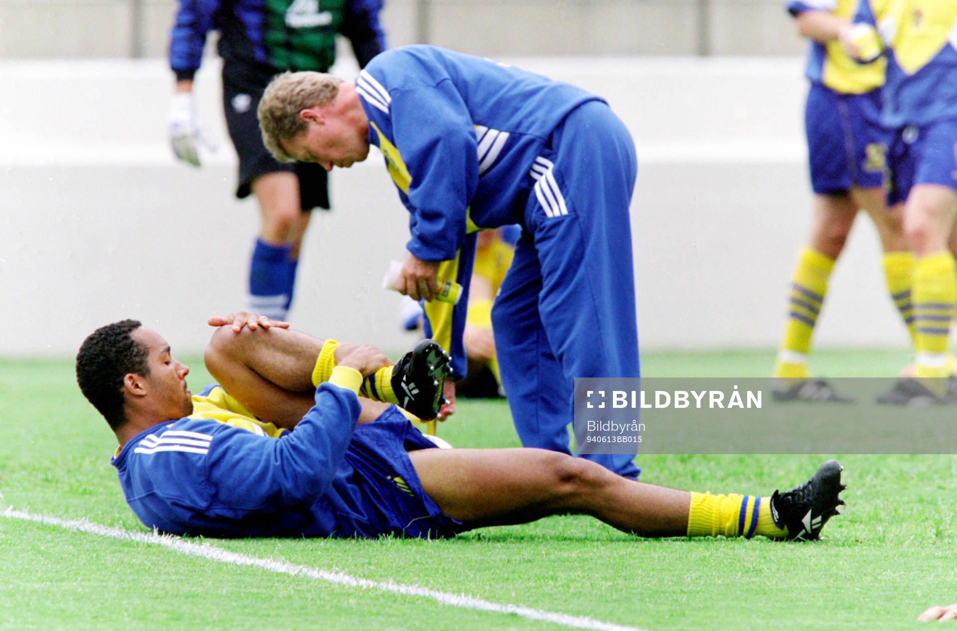 Martin Dahlin, Sverige