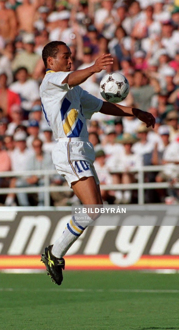 Martin Dahlin, Sverige