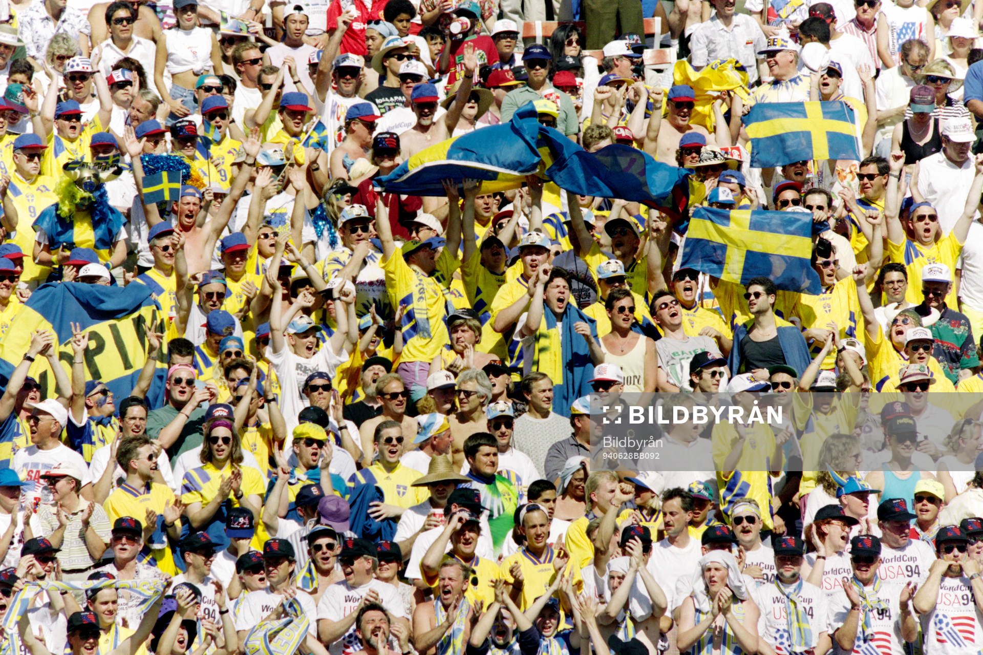 Svenska fans