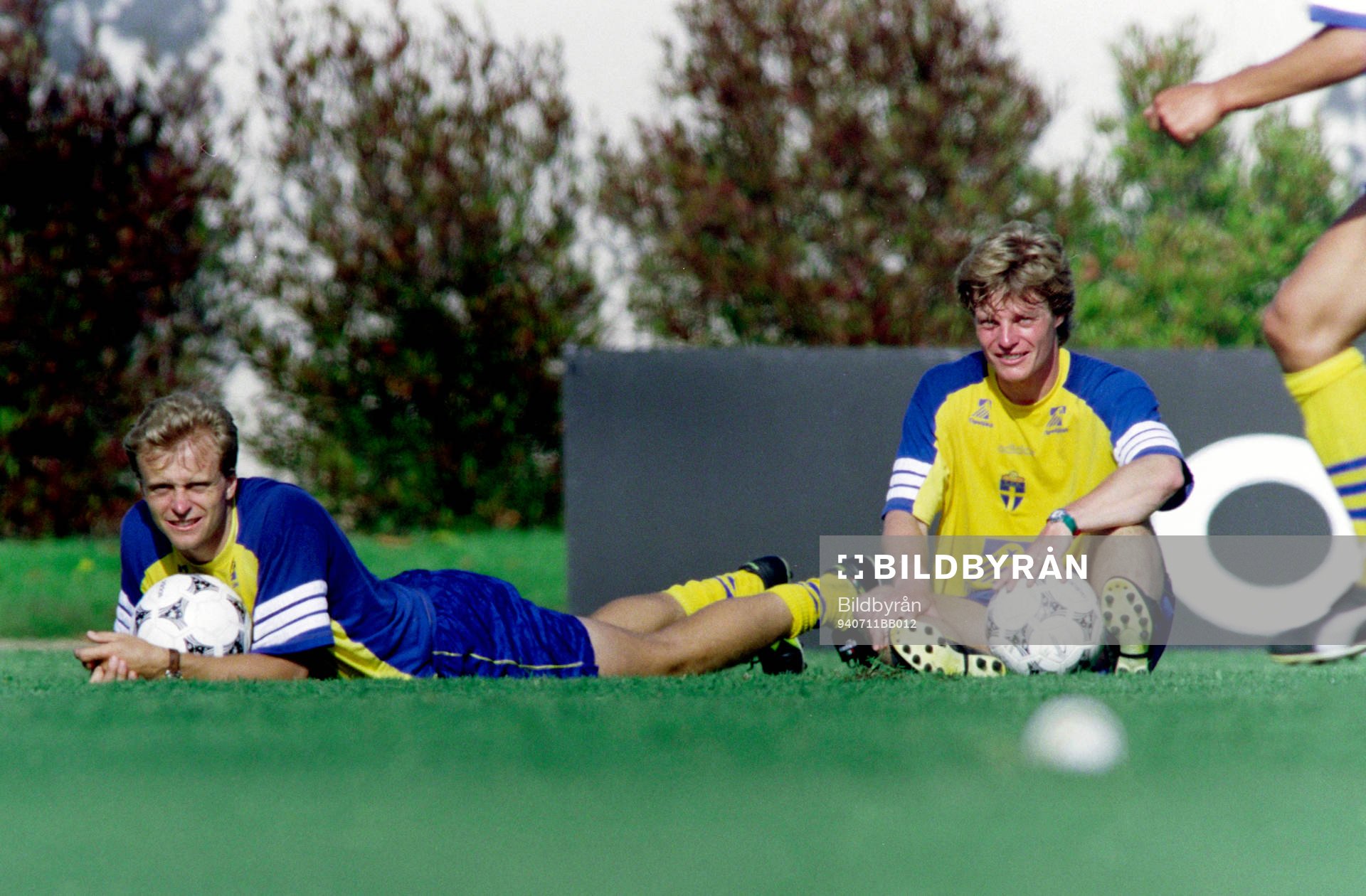 Jonas Thern och Stefan Schwarz, Sverige