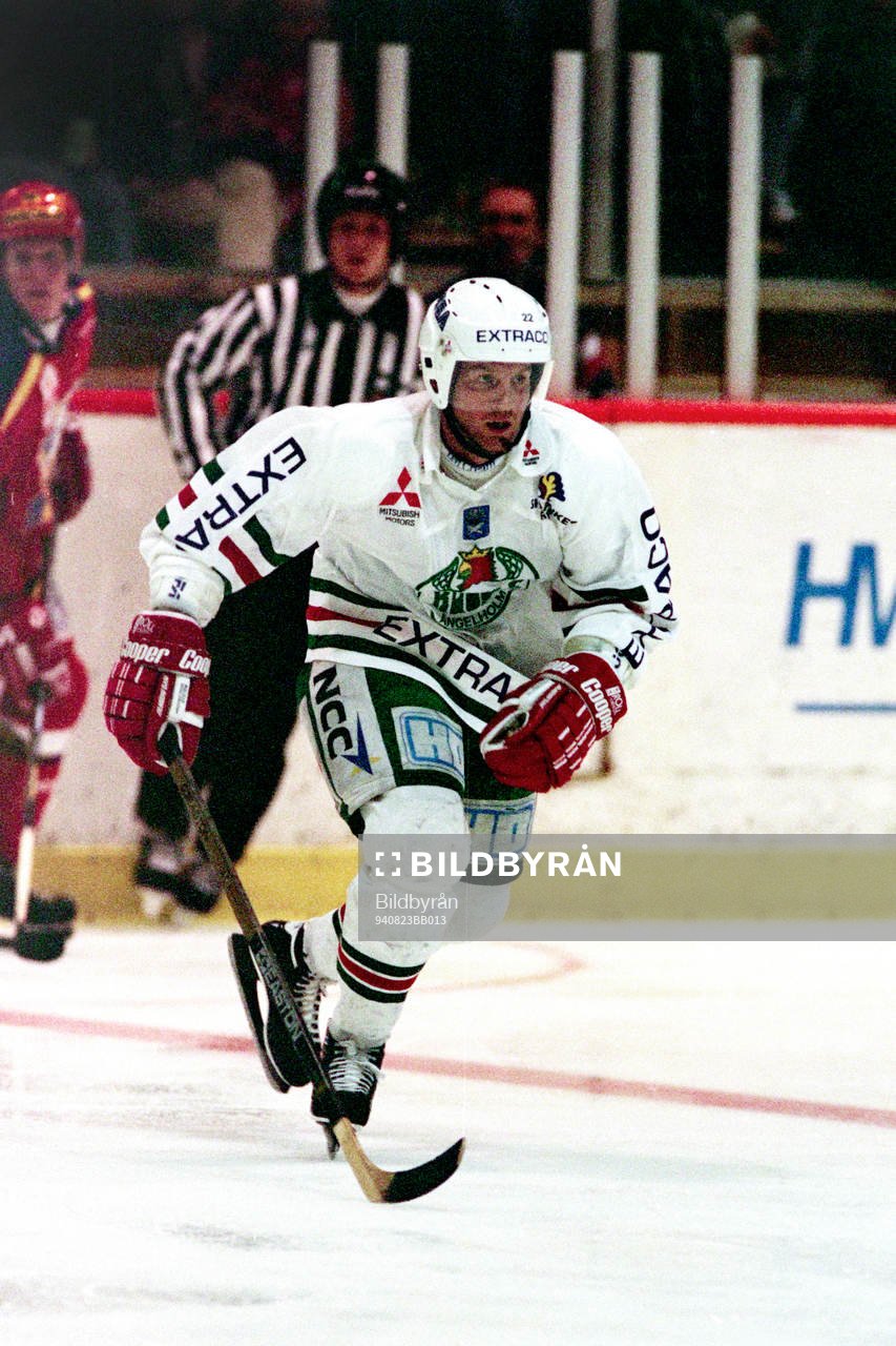 Jens Nielsen, Rögle
