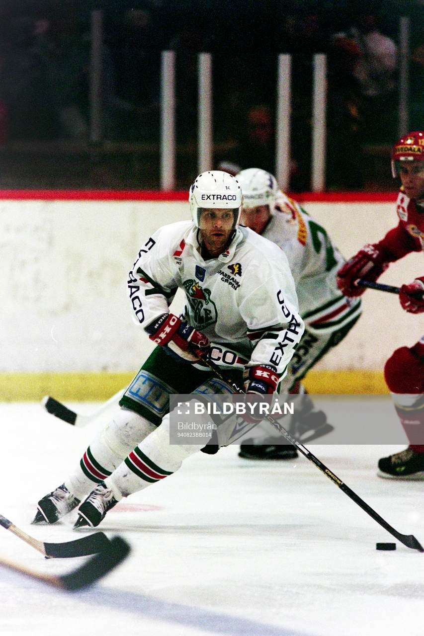 Michael Hjälm, Rögle