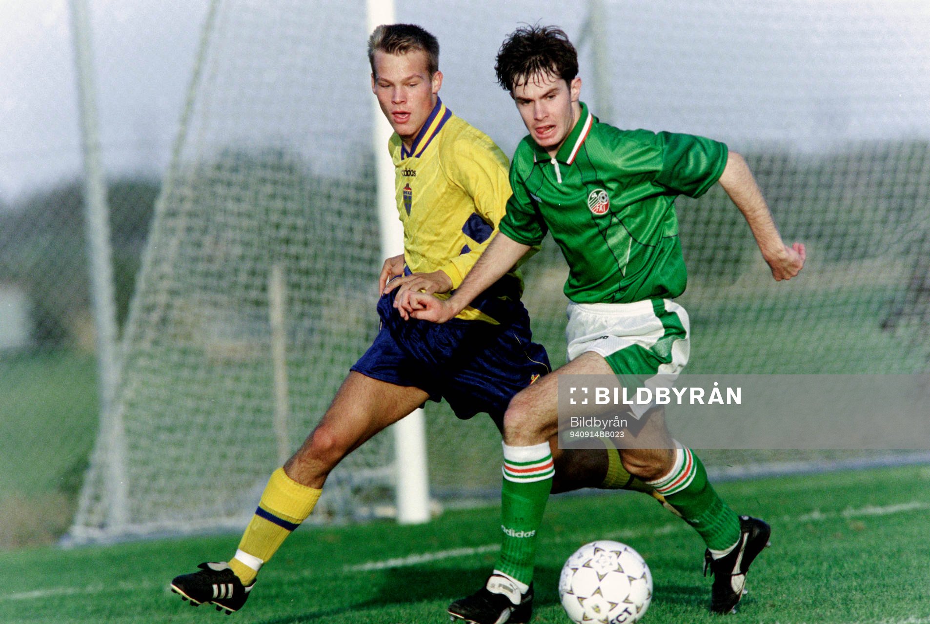 Fredrik Ljungberg, Sverige